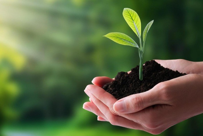 assessoria ambiental